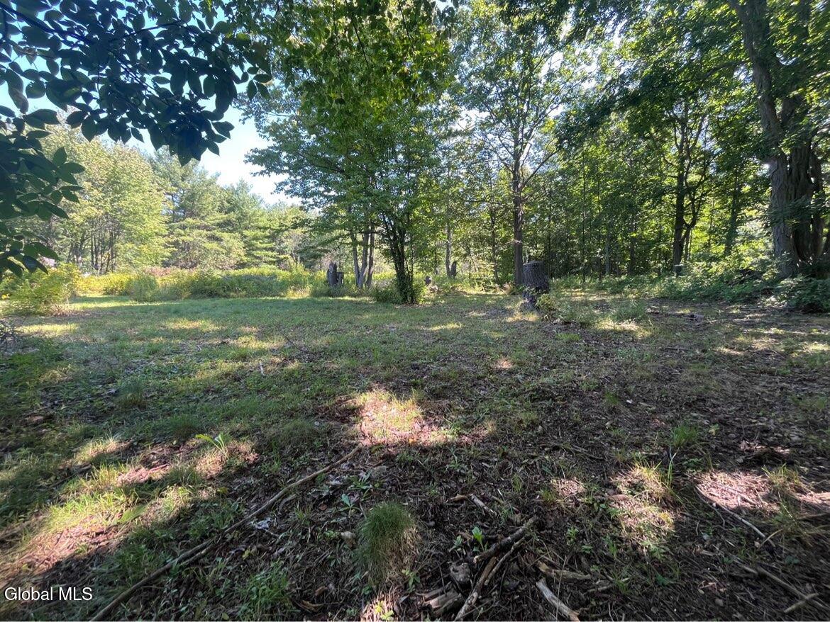 192 Irish Hill Road East Berne NY 12059
