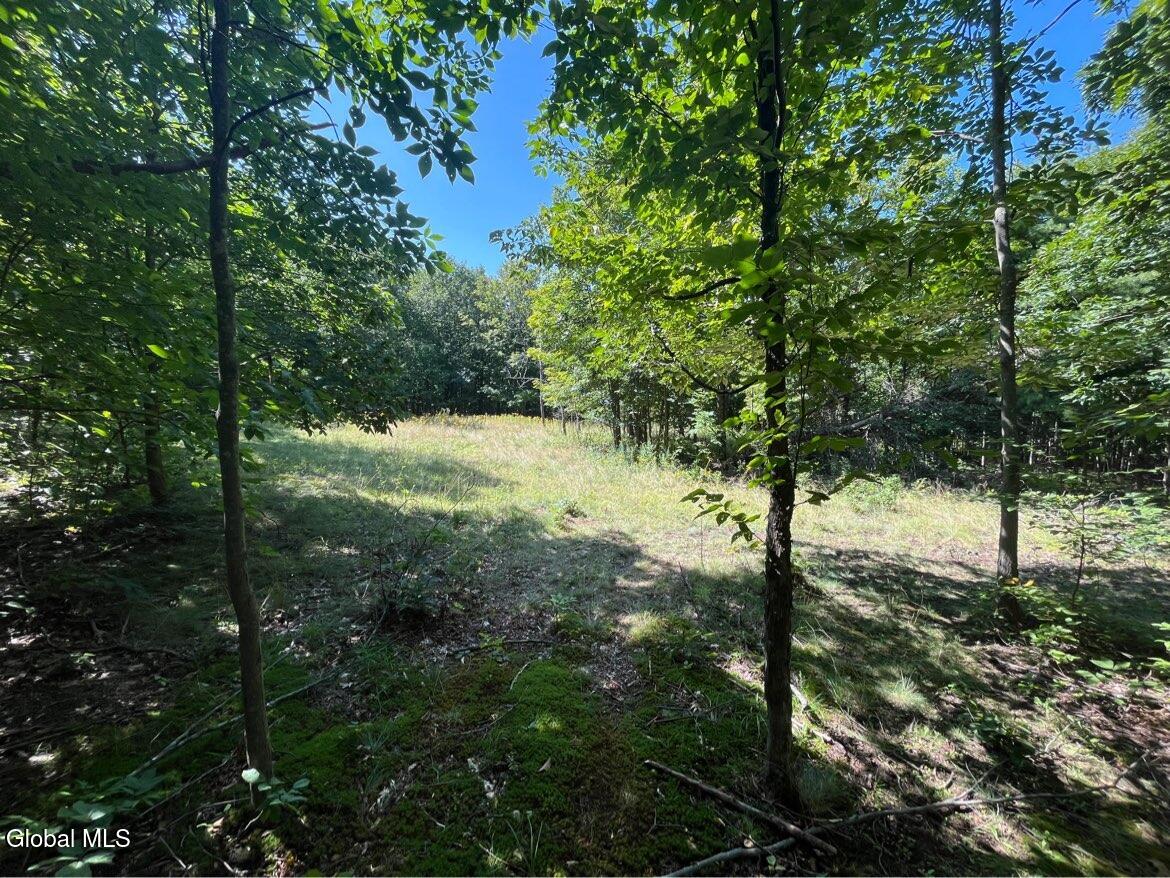 192 Irish Hill Road East Berne NY 12059