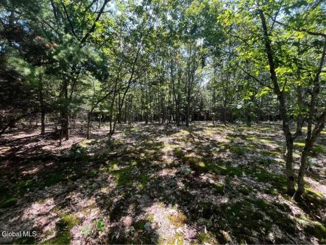 192 Irish Hill Road East Berne NY 12059