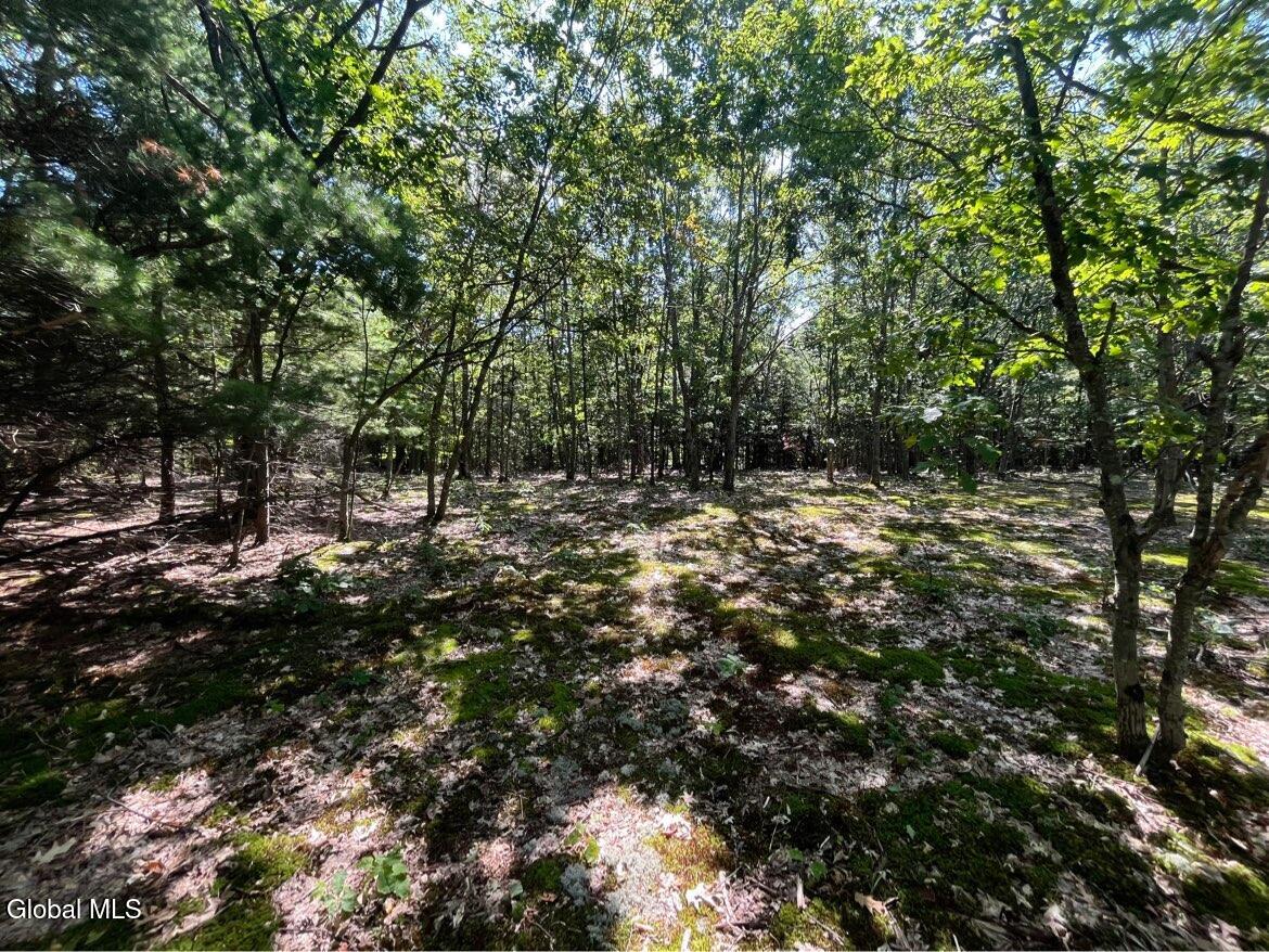 192 Irish Hill Road East Berne NY 12059