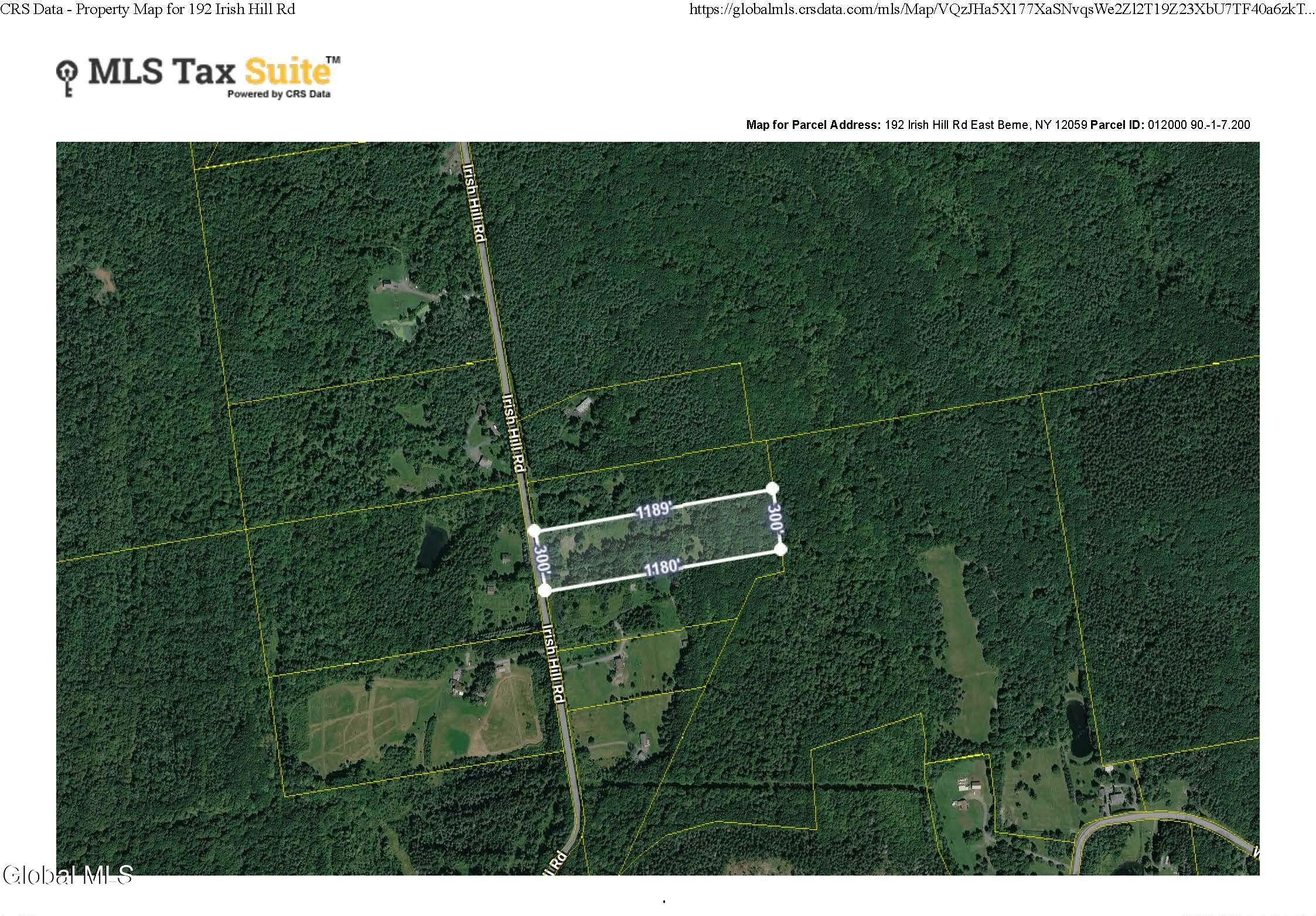192 Irish Hill Road East Berne NY 12059