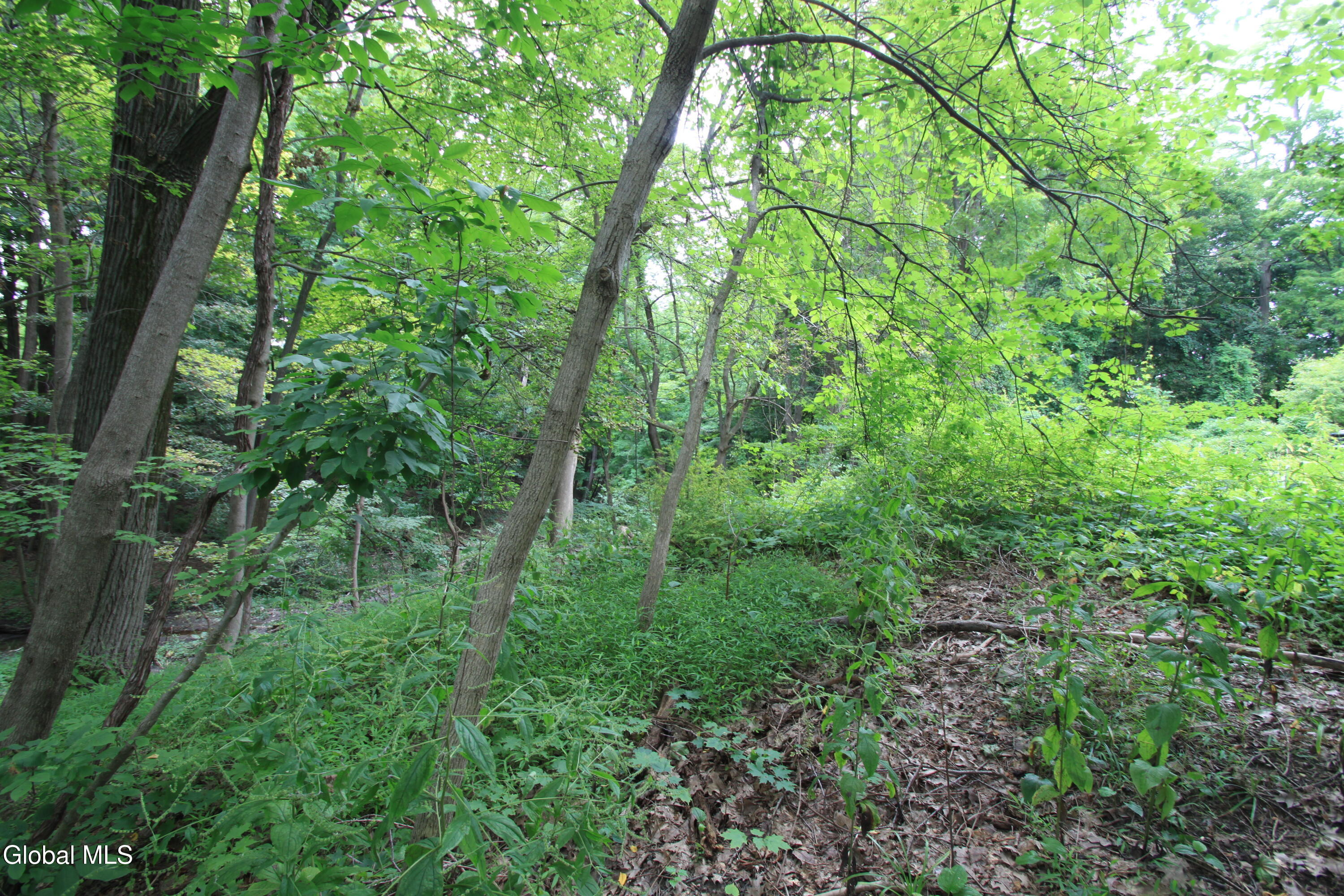 31-33 Spring Street Hudson NY 12534