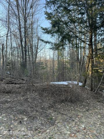 132 Wesskum Woods Road Gloversville NY 12078