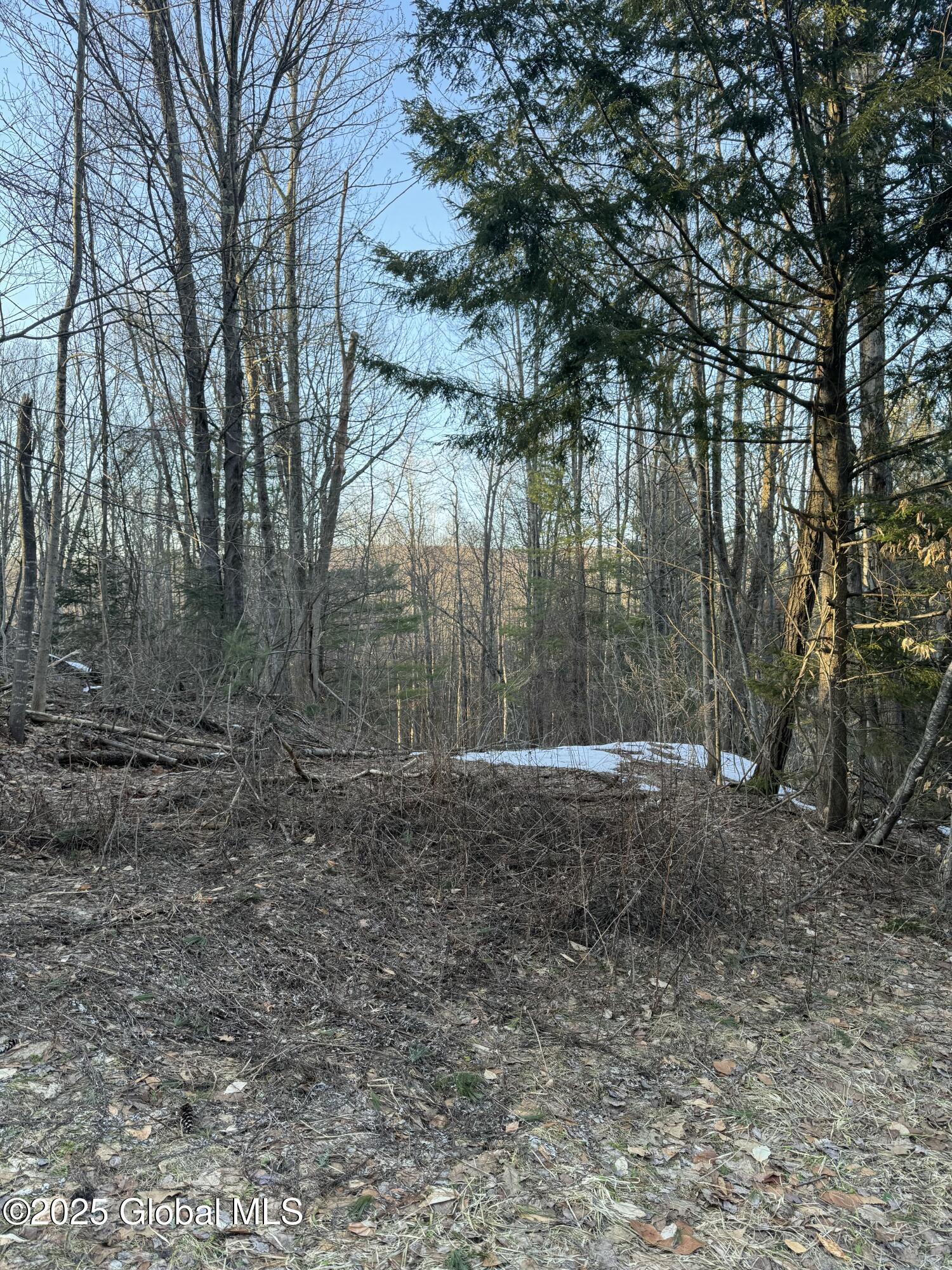 132 Wesskum Woods Road Gloversville NY 12078