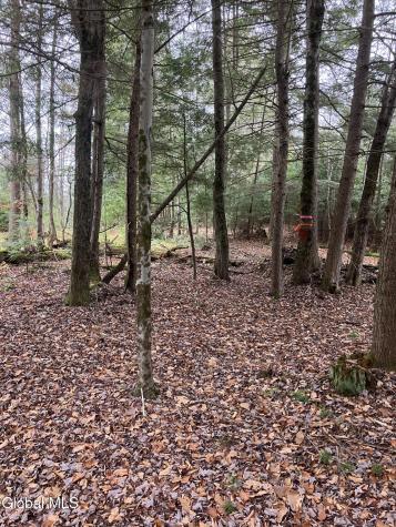 L15.111 Scofield Road Lake Luzerne NY 12846
