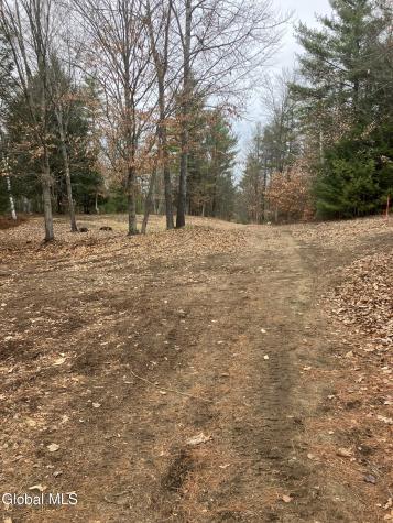 L15.111 Scofield Road Lake Luzerne NY 12846