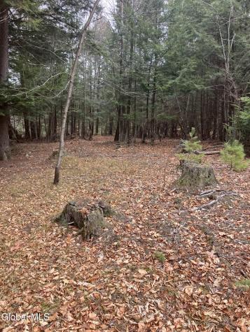 L15.111 Scofield Road Lake Luzerne NY 12846