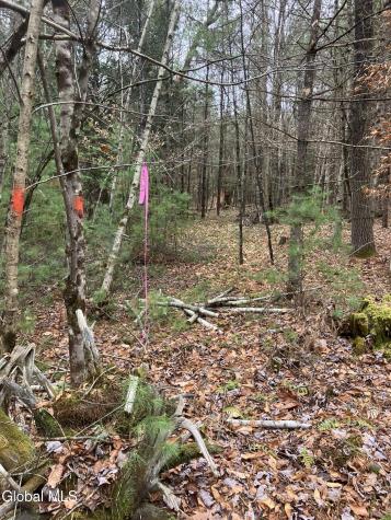 L15.111 Scofield Road Lake Luzerne NY 12846
