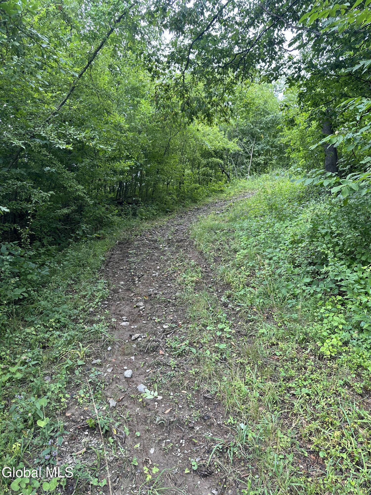L 70 Richmond Road Malden Bridge NY 12115