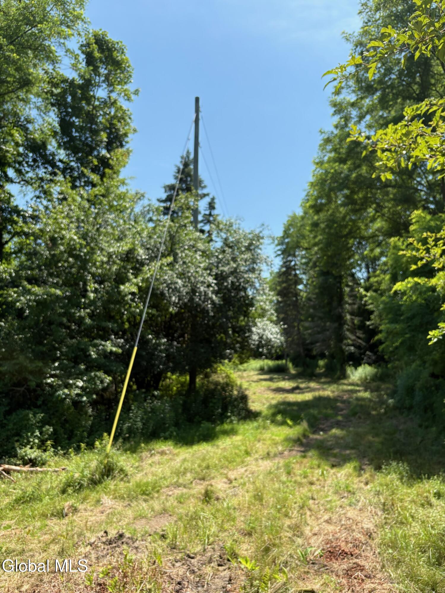 L8 Lower Cady Road Old Chatham NY 12136
