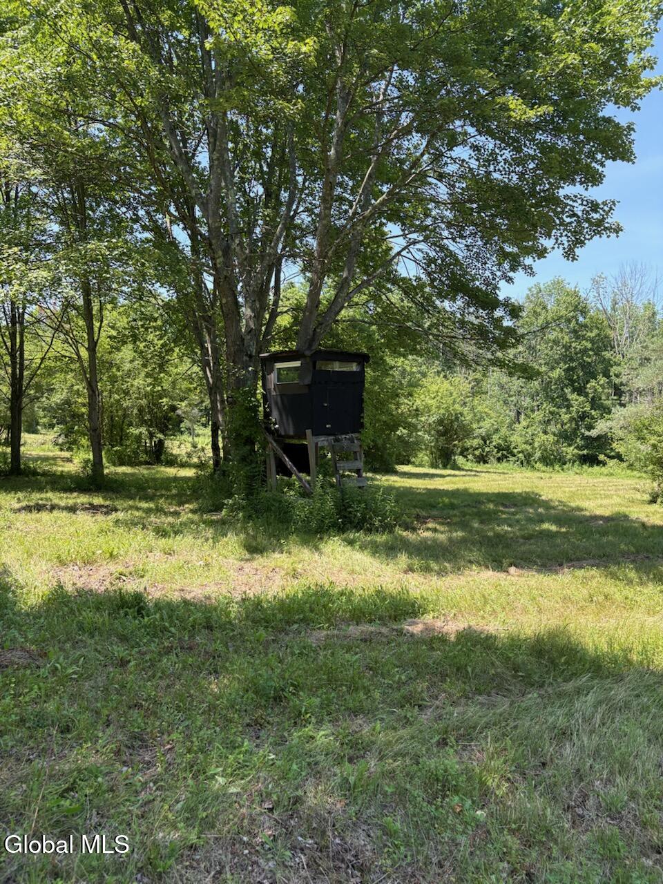 L8 Lower Cady Road Old Chatham NY 12136