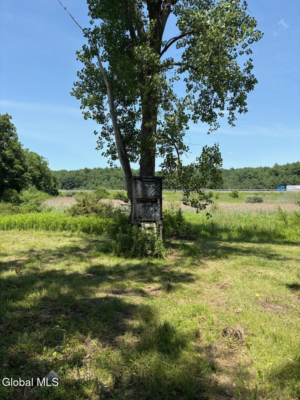 L8 Lower Cady Road Old Chatham NY 12136