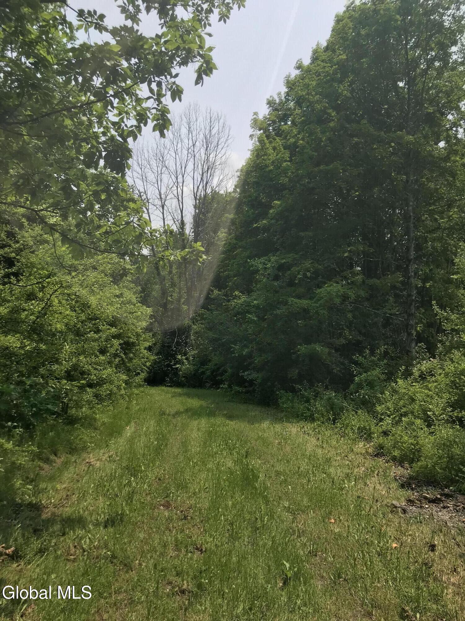 L8 Lower Cady Road Old Chatham NY 12136
