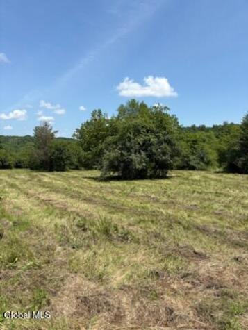 L8 Lower Cady Road Old Chatham NY 12136