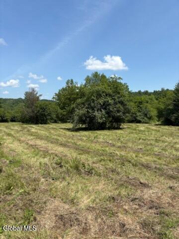 L8 Lower Cady Road Old Chatham NY 12136
