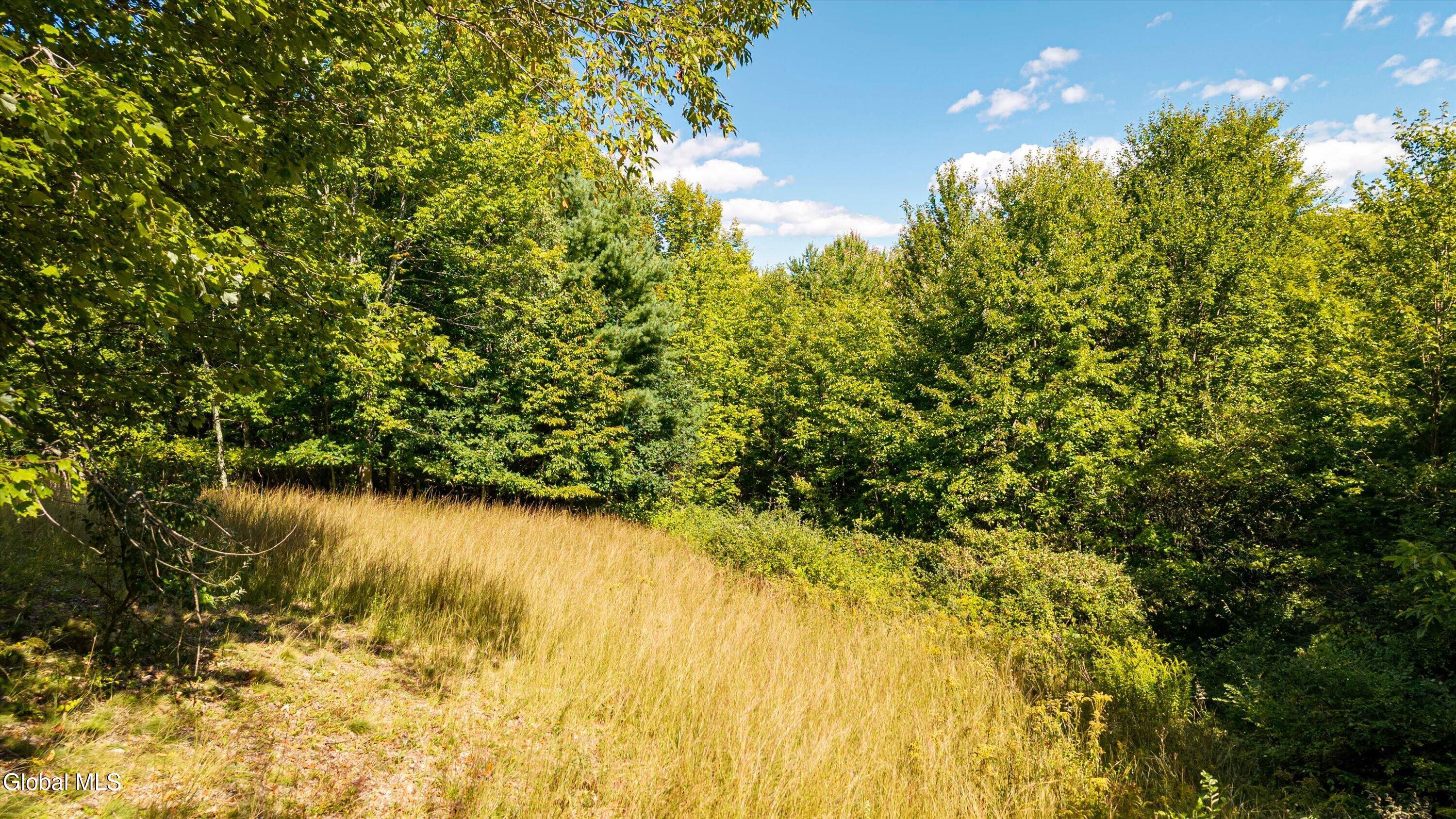 95 Koster Way Salem NY 12865