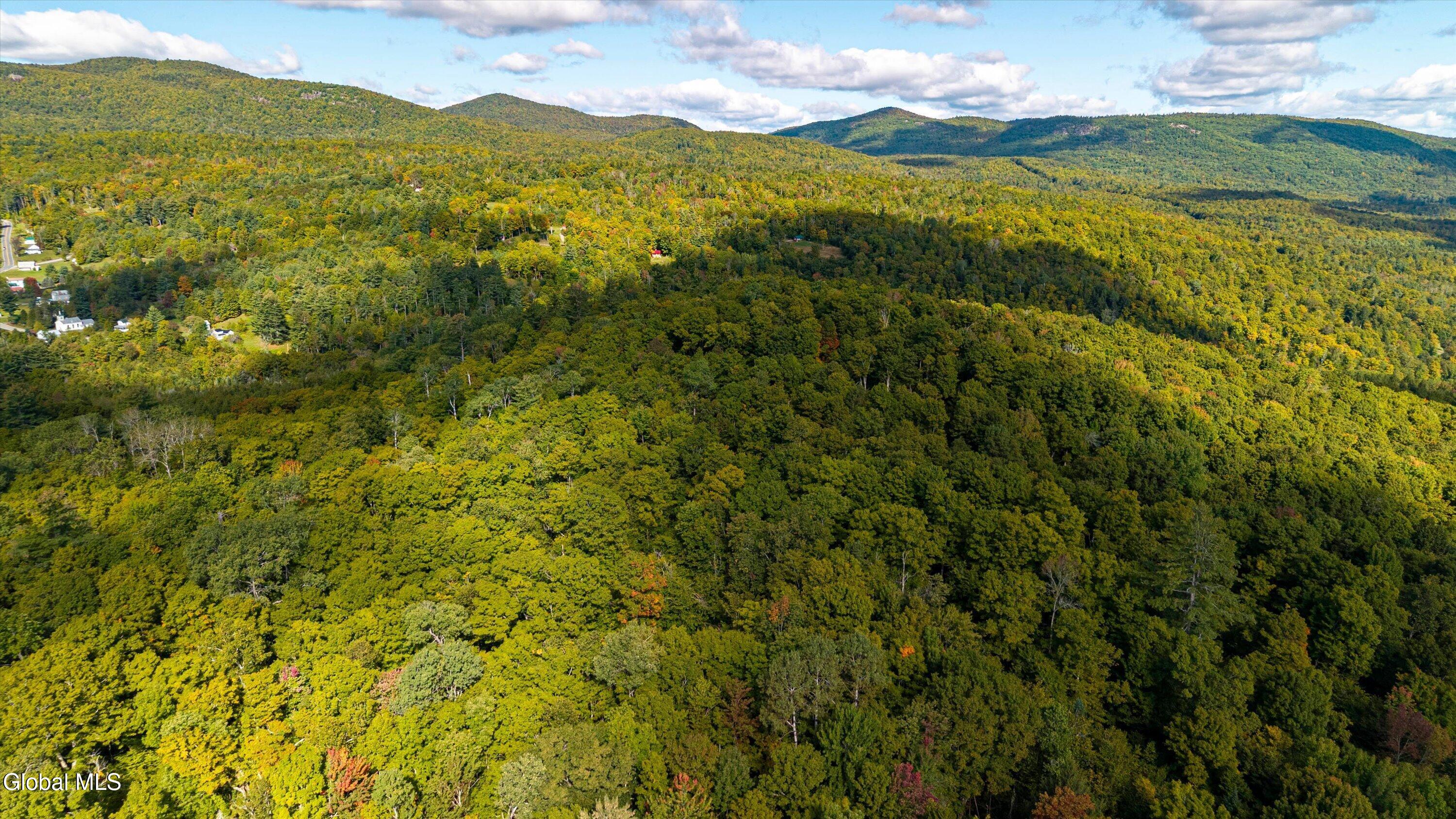 L 87 Schoolhouse Road North River NY 12856