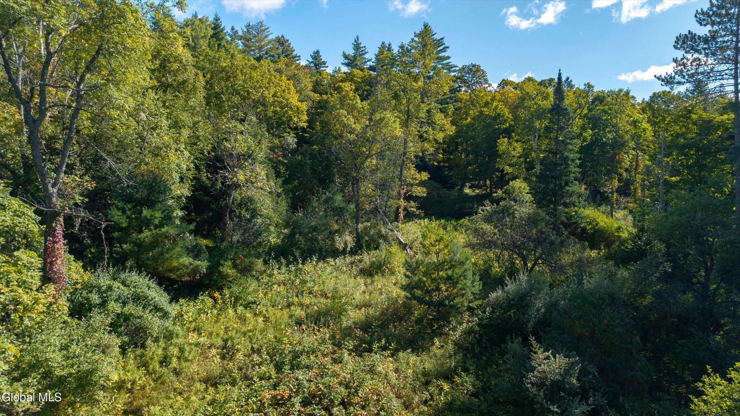 L 87 Schoolhouse Road North River NY 12856