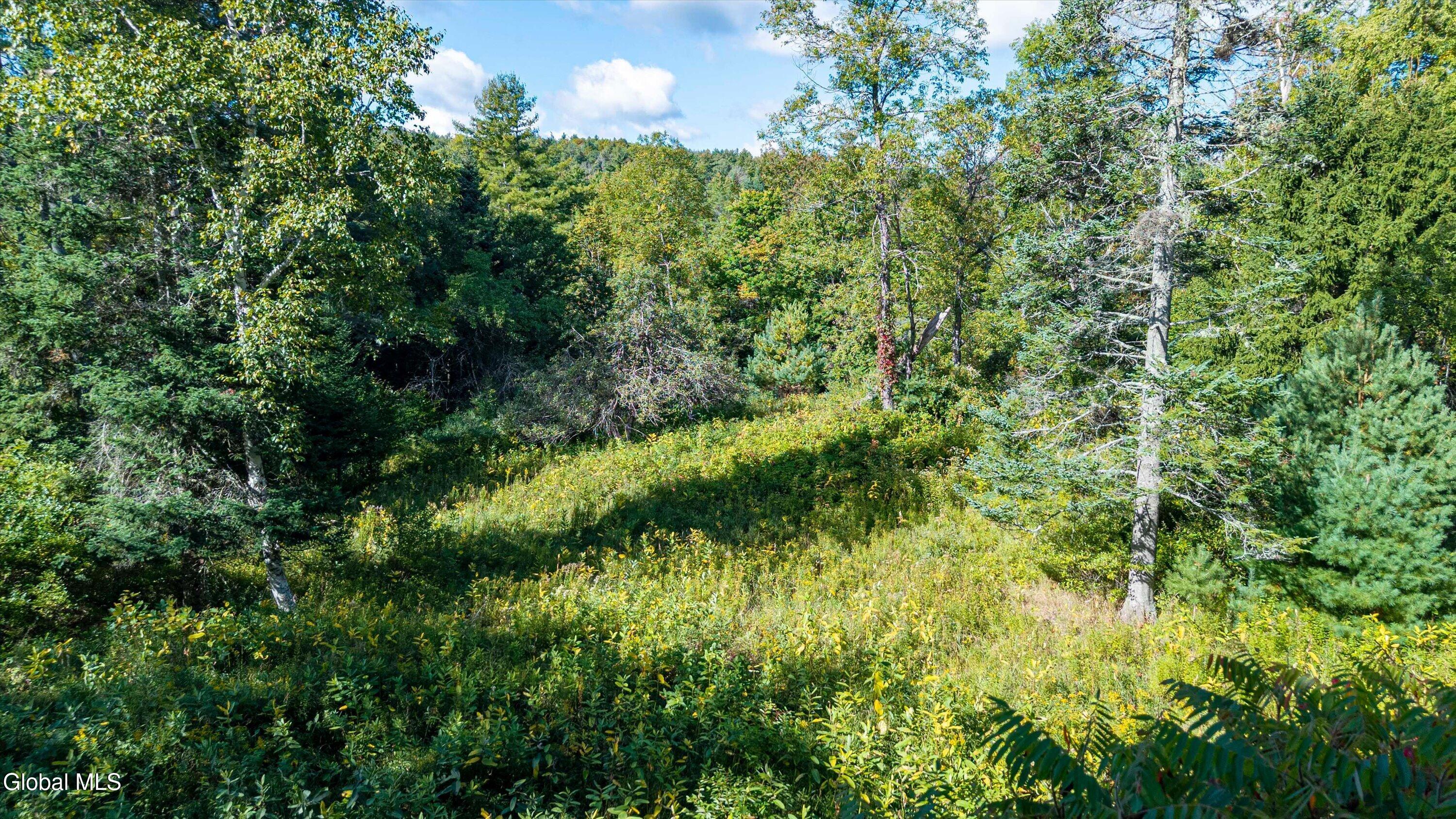 L 87 Schoolhouse Road North River NY 12856