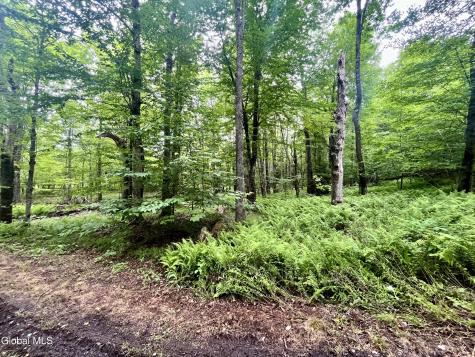 2285 State Route 10 Jefferson NY 12093