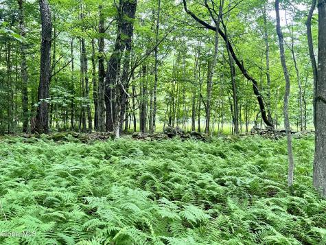 2285 State Route 10 Jefferson NY 12093