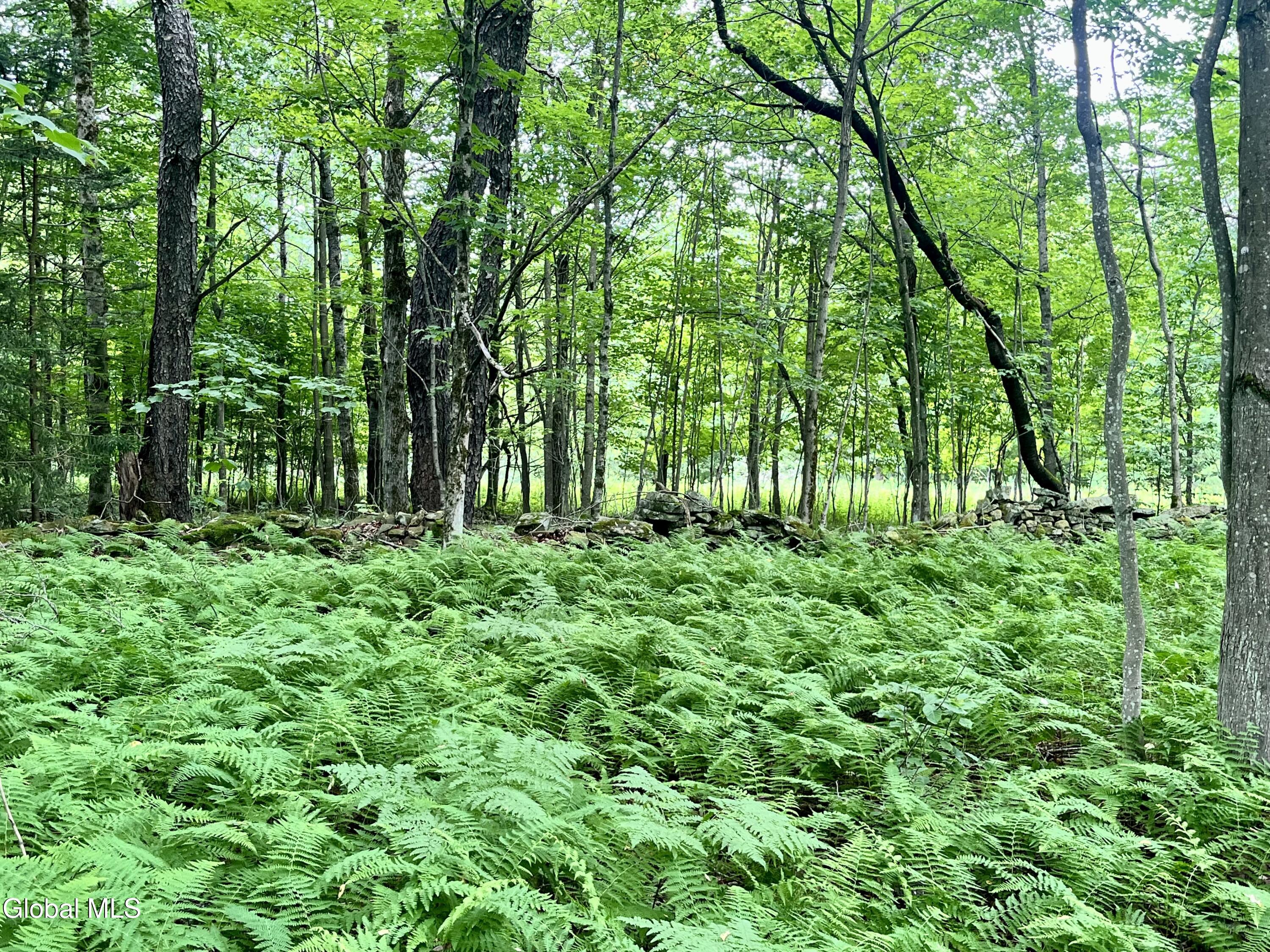 2285 State Route 10 Jefferson NY 12093