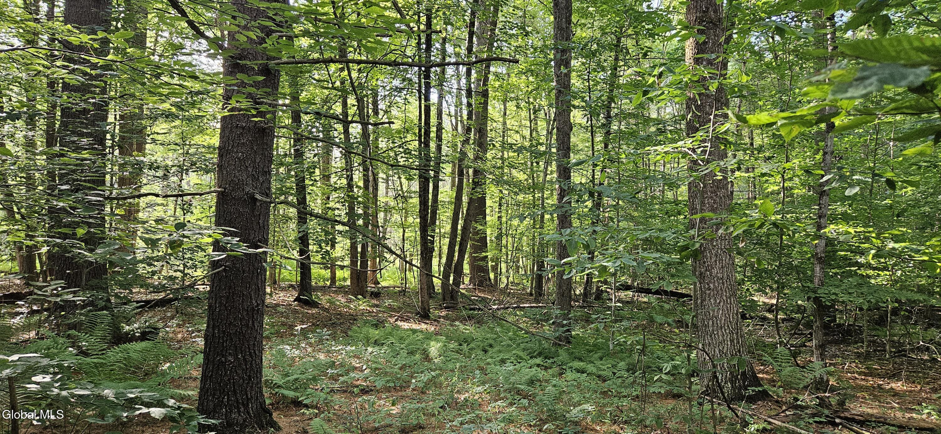 L68.3 Bumphill Road Greenfield Center NY 12833