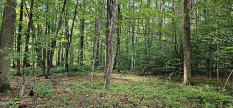 L68.3 Bumphill Road Greenfield Center NY 12833