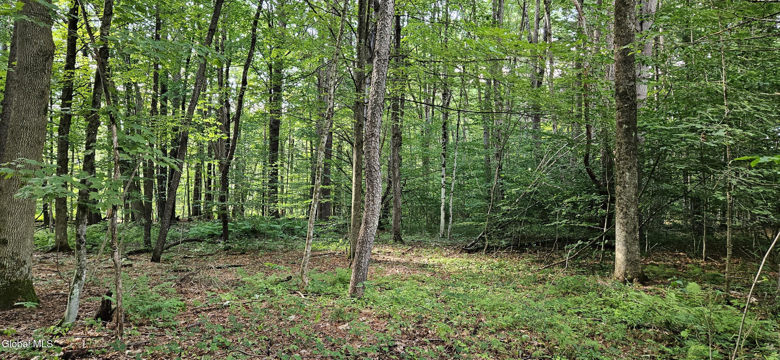 L68.3 Bumphill Road Greenfield Center NY 12833