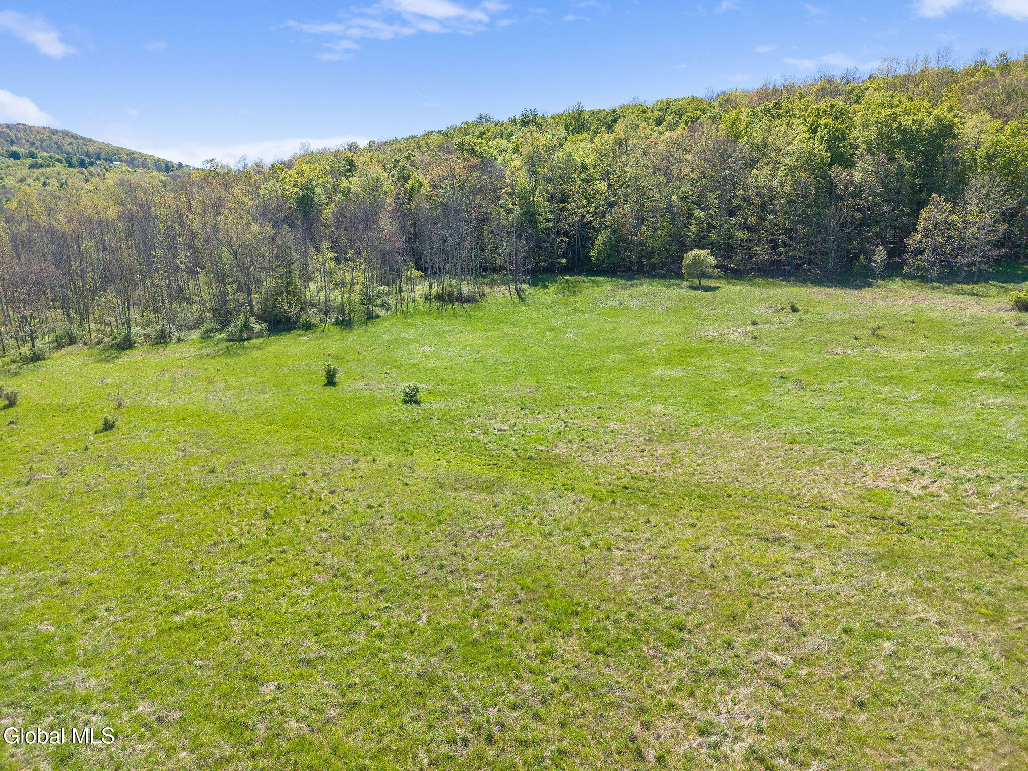 L2.112 Ploss Road Richmondville NY 12149