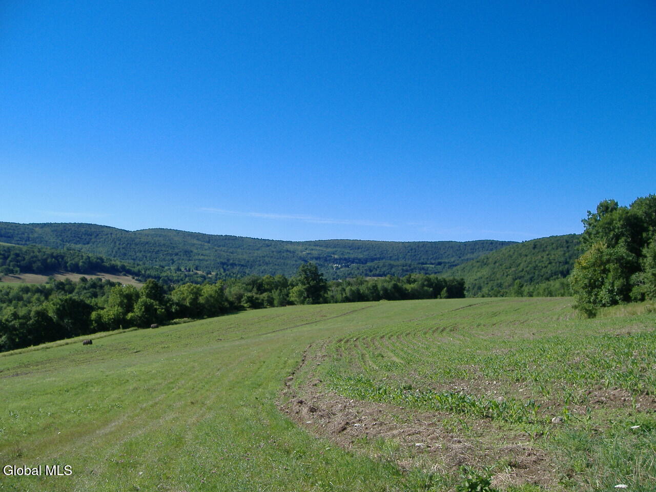 L2.112 Ploss Road Richmondville NY 12149