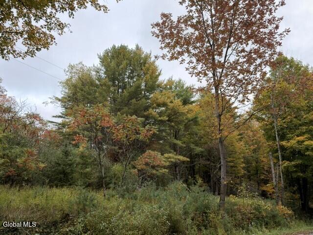 L2 Windy Hill Road Moriah NY 12960