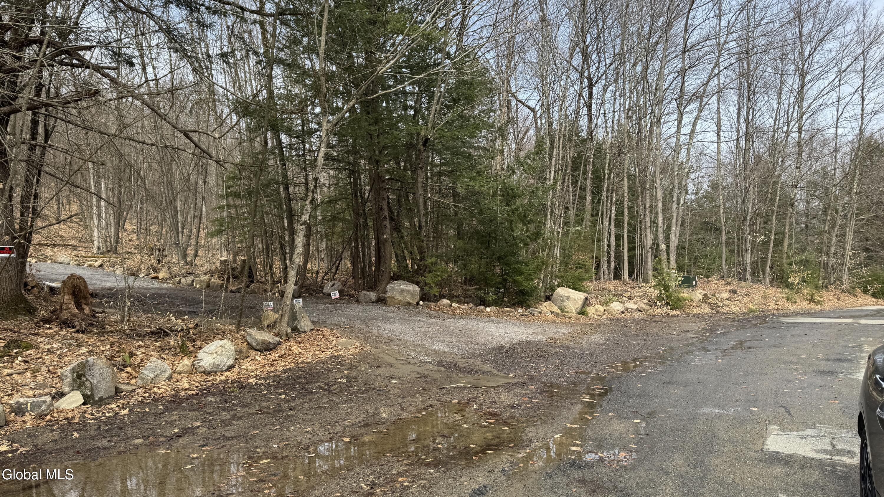 4 Spring Wood Lake George NY 12845