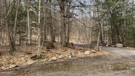4 Spring Wood Lake George NY 12845
