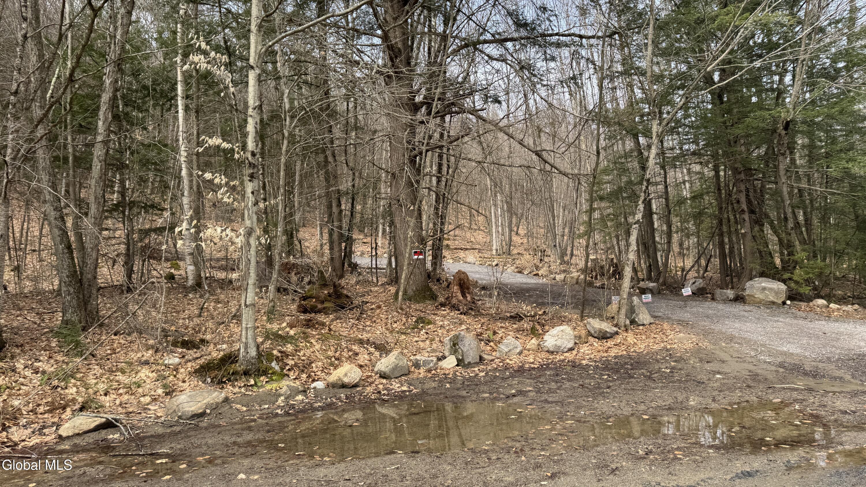 4 Spring Wood Lake George NY 12845