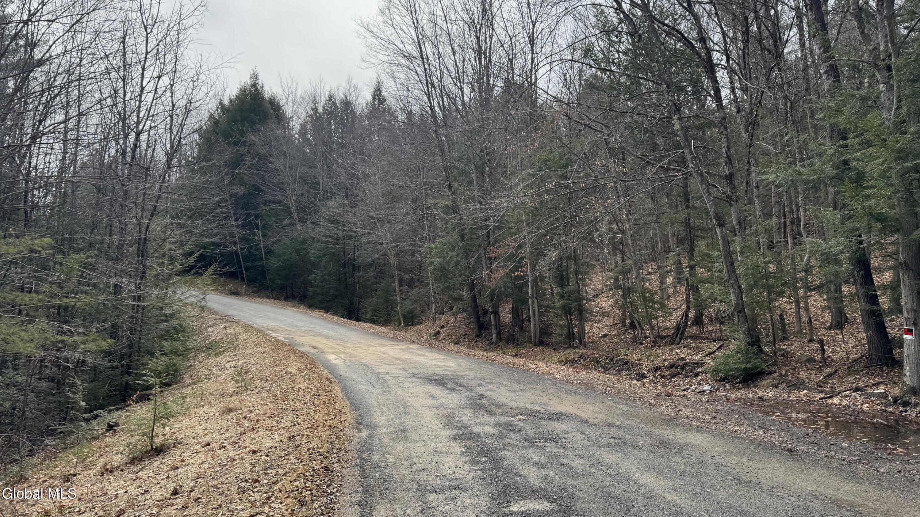 4 Spring Wood Lake George NY 12845