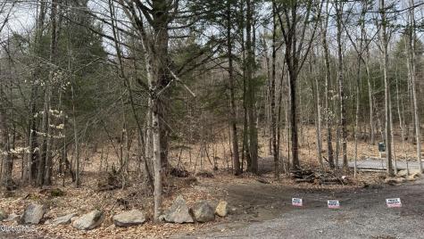 4 Spring Wood Lake George NY 12845