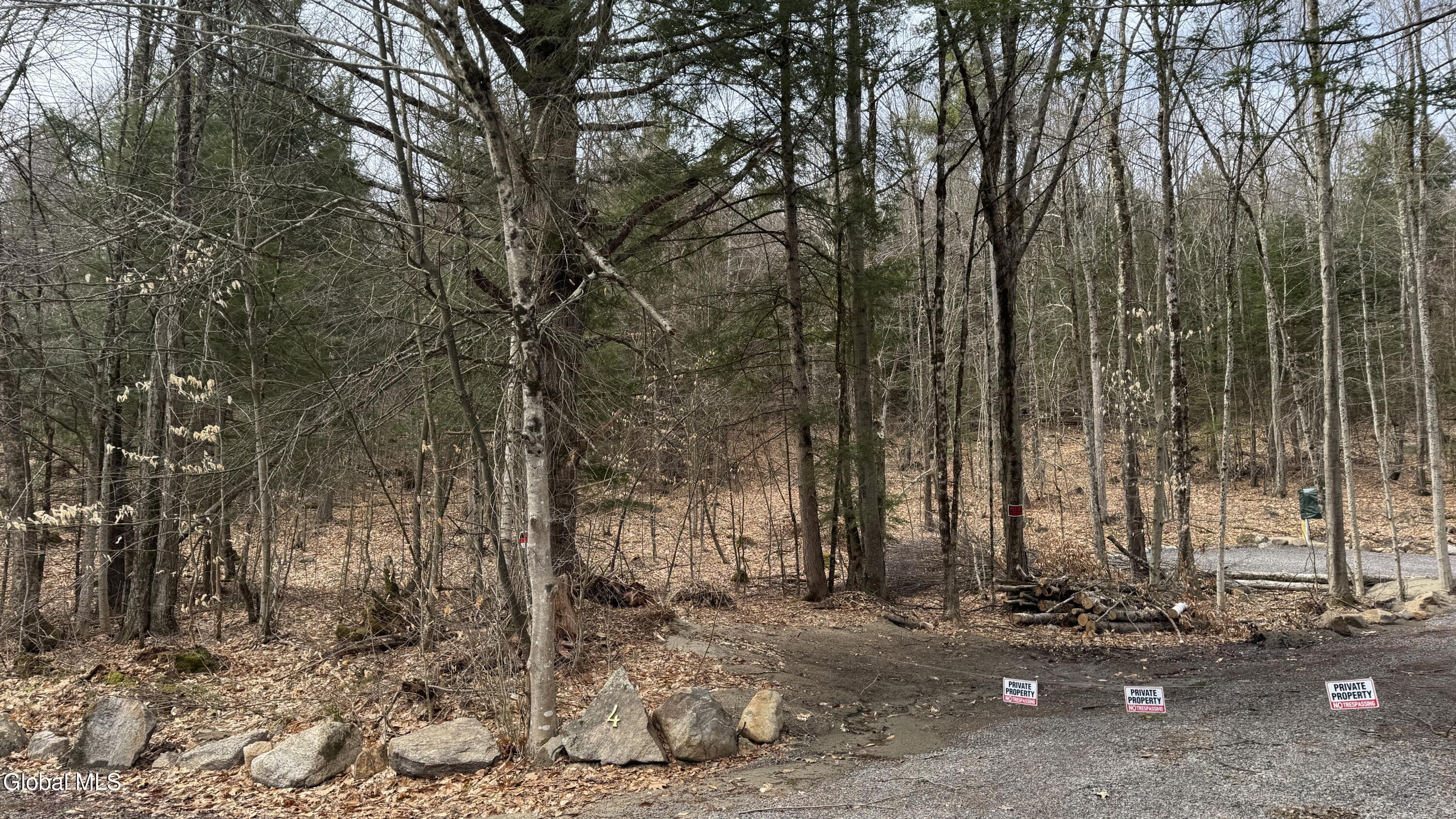 4 Spring Wood Lake George NY 12845