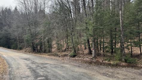 4 Spring Wood Lake George NY 12845