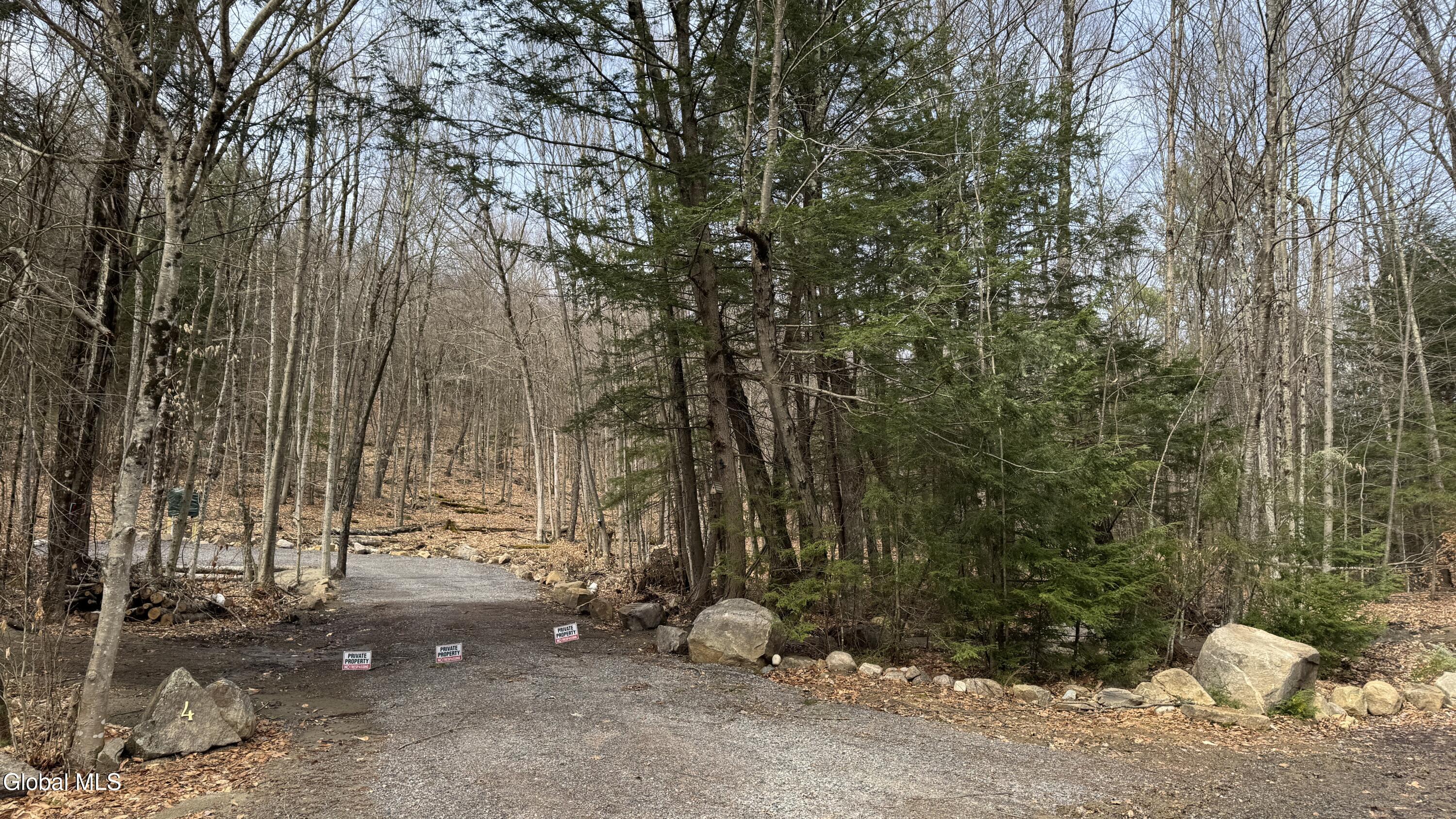4 Spring Wood Lake George NY 12845
