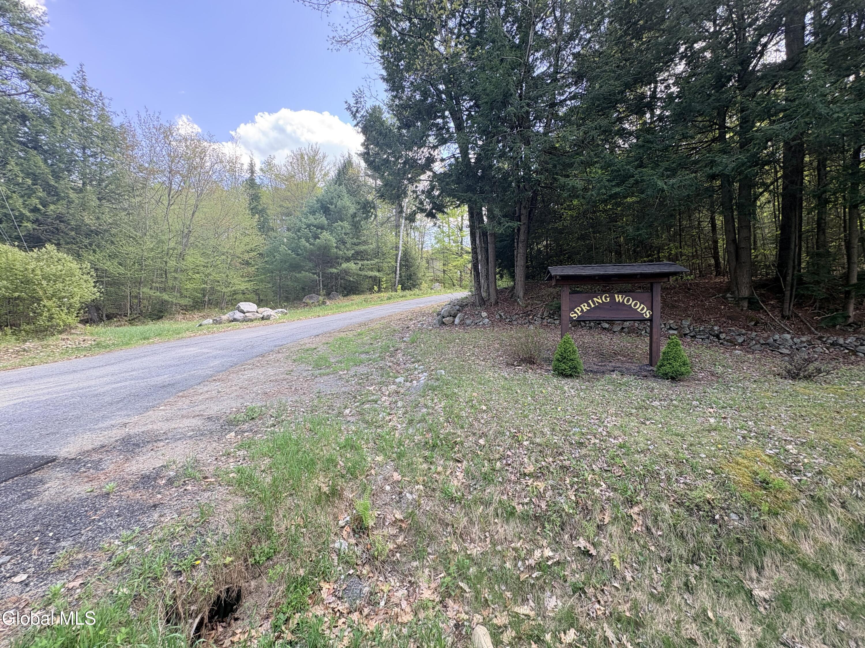 4 Spring Wood Lake George NY 12845