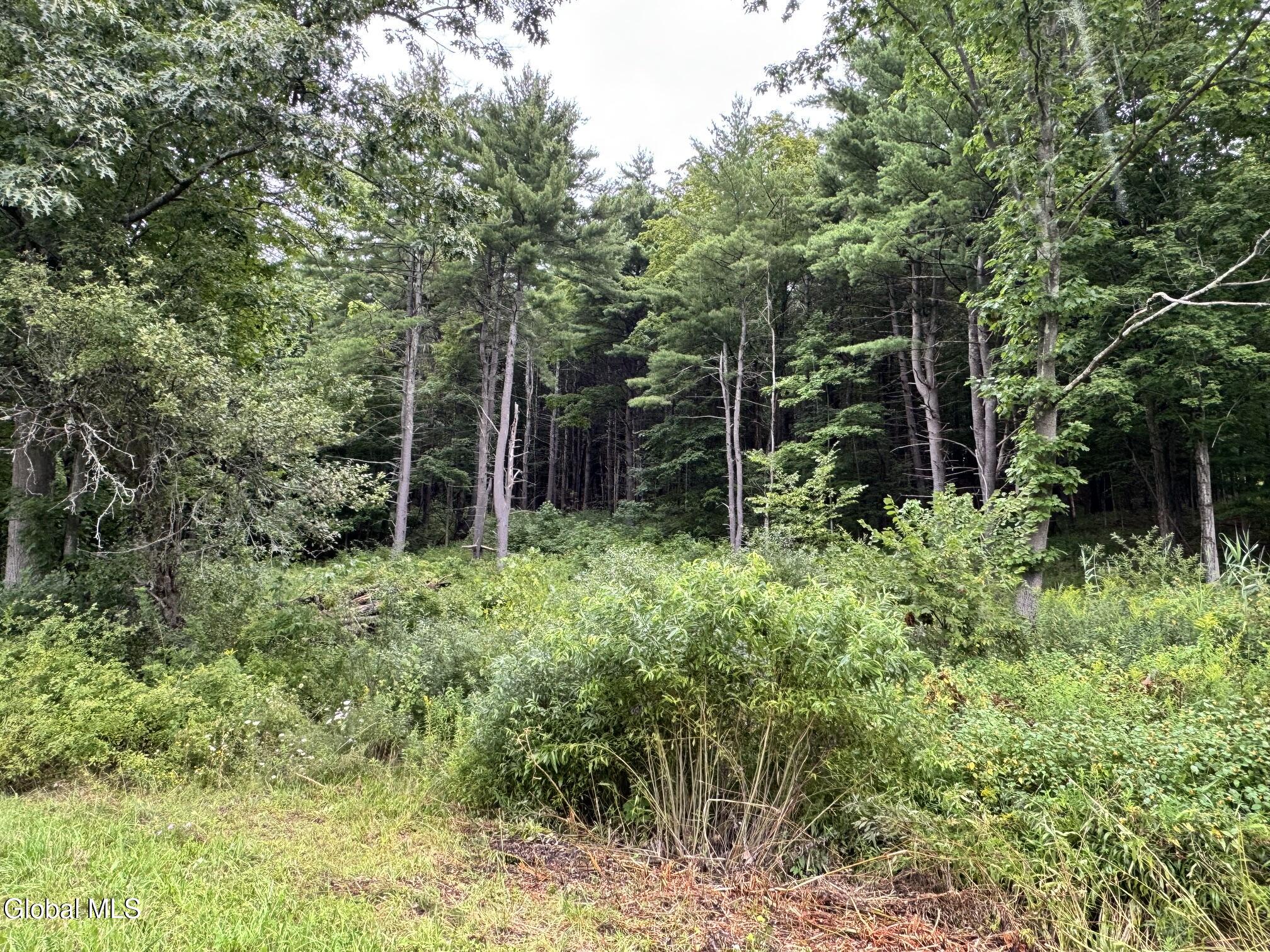 154 County Route 60 Cambridge NY 12816