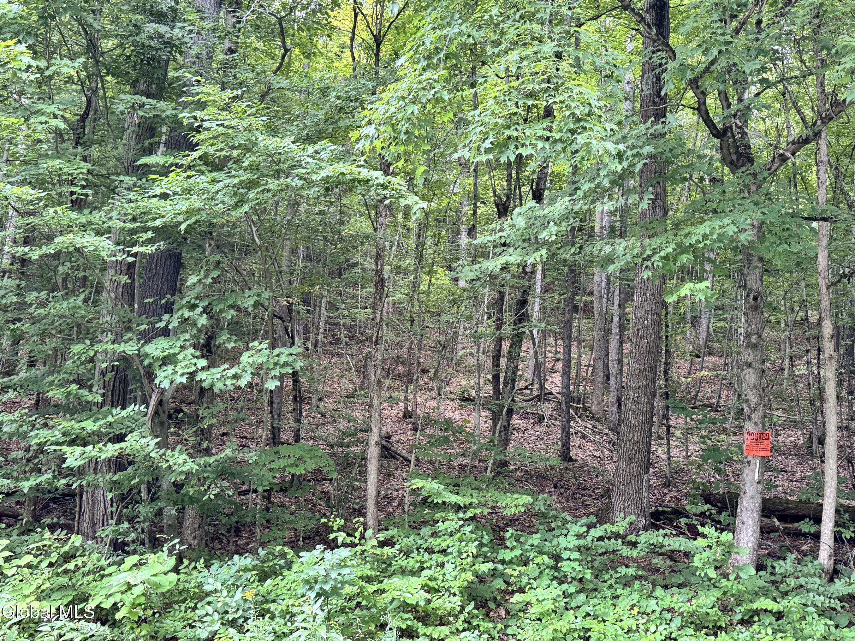 154 County Route 60 Cambridge NY 12816