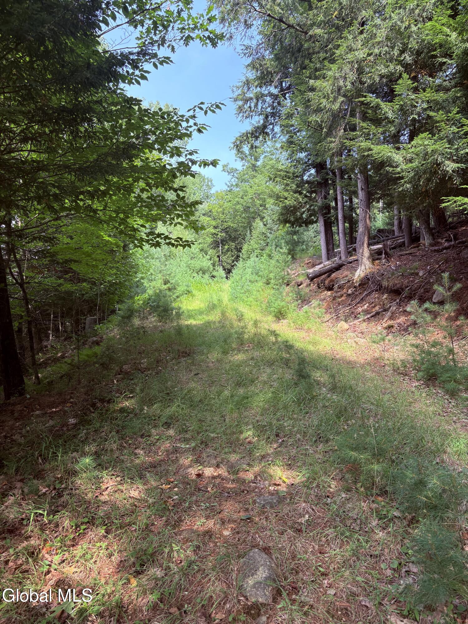 232 Eddy Road Hadley NY 12835