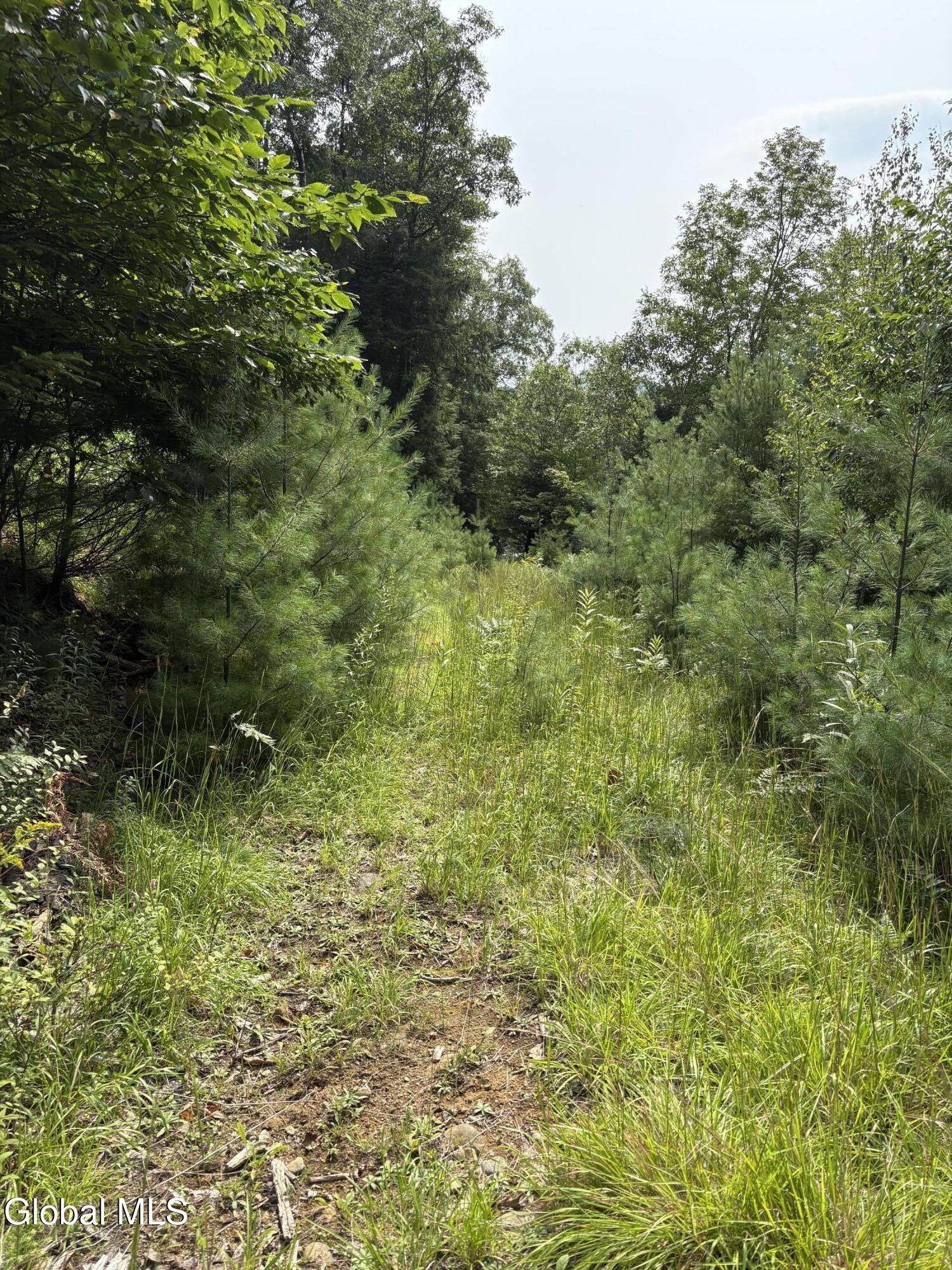 232 Eddy Road Hadley NY 12835