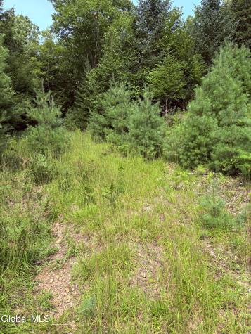 232 Eddy Road Hadley NY 12835