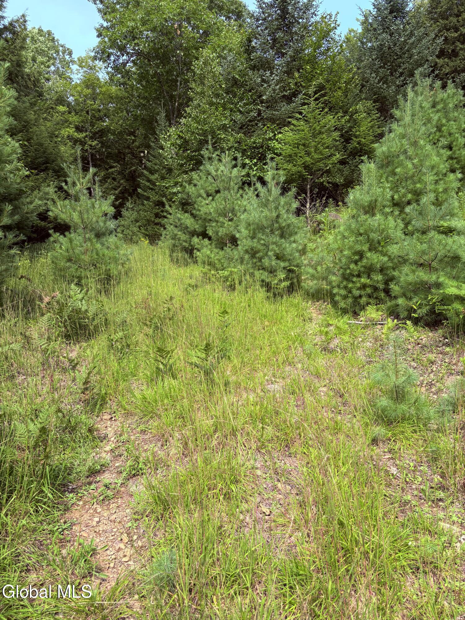 232 Eddy Road Hadley NY 12835