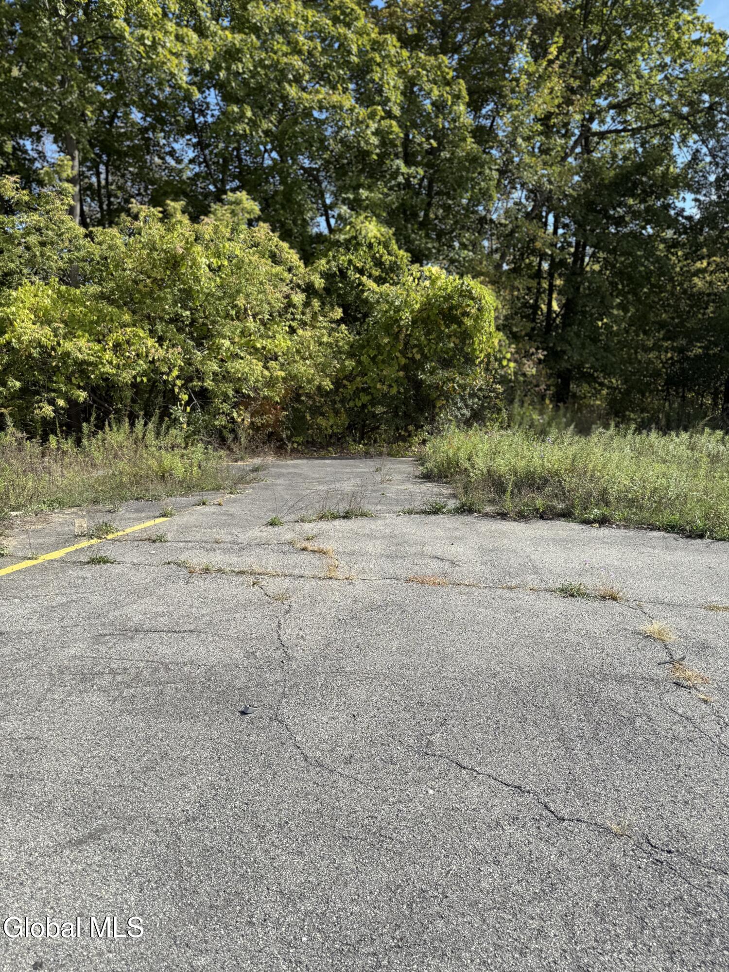 2167 Central Avenue Albany NY 12304