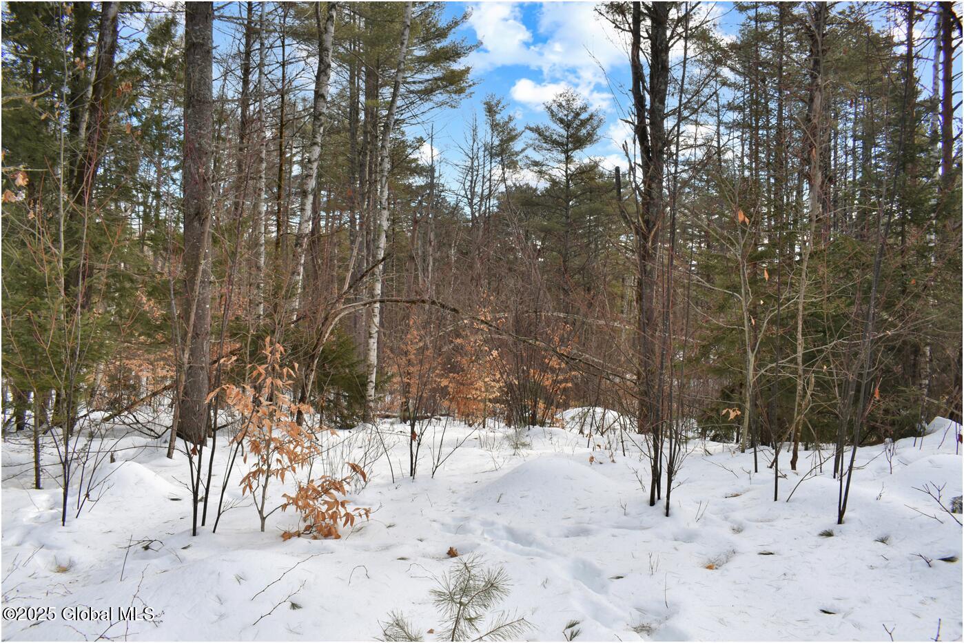 L97 Highview Lane Wevertown NY 12886