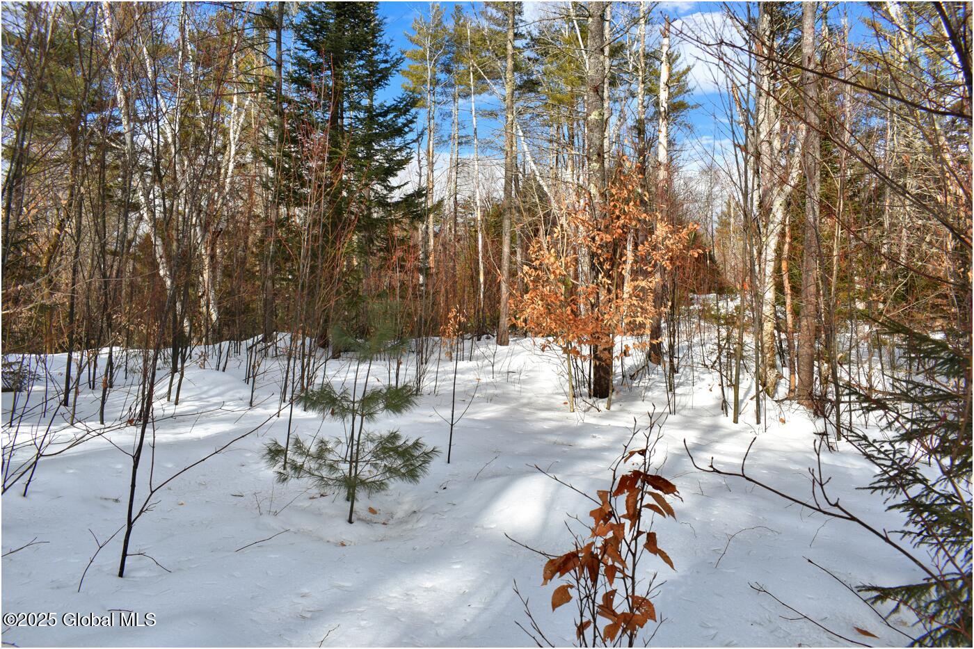 L97 Highview Lane Wevertown NY 12886